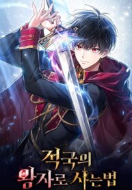 Reborn-as-the-Enemy-Prince.jpg
